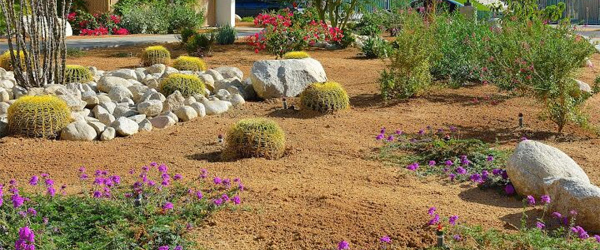 Desert Friendly Yards