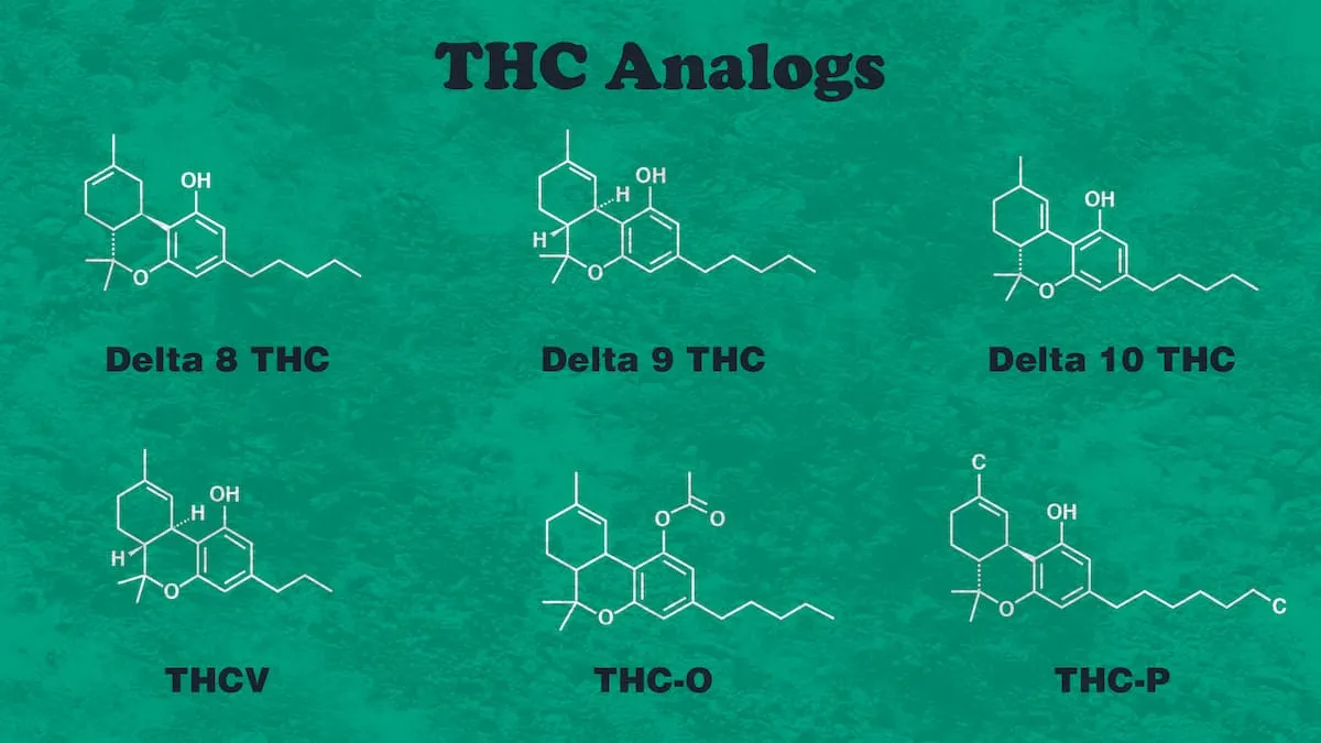 what is thc p